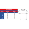 Męska koszulka T-shirt 100% miękka bawełna  szara roz. L