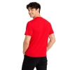 T Shirt Meski Z Krotkim Rekawem Gramatura 190G Czerwony Widok Z Tylu