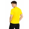 T Shirt Meski Z Krotkim Rekawem Gramatura 190G Zolty Widok Z Tylu